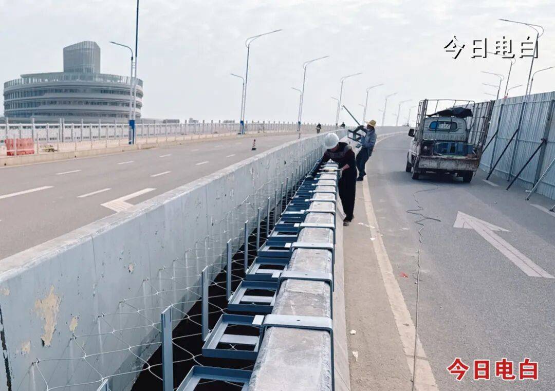 精彩省运会 魅力新电白丨电白区主城区按下绿美建设“快进键”